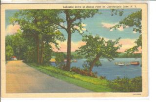 Lakeside Drive Bemus Point Chautauqua Lake NY Postcard