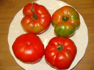 2012 collection Giant Beefsteak Organic Tomatoes 100 seeds