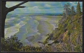 1950 60 Aerial Beach Belleview Park WA Postcard