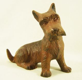 Lovely Dog Yorkshire Terrier Bergman Vienna Bronze