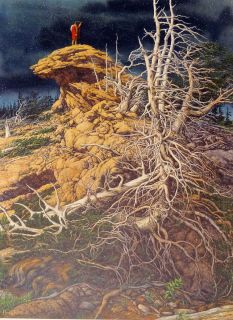 Bev Doolittle Prayer for The Wild Things s N Le Lithograph A P 5 65 