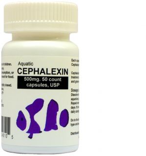 aquatic cephalexin 500mg 50 count usp antibiotic 