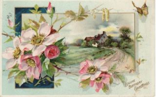   BIRTHDAY POSTCARD c1908 Country Pink Floral Butterfly JOHNSON, VT Tuck