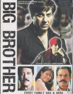 Big Brother Sunny Deol Bollywood Hindi Movie DVD