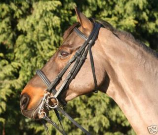 New Black English Leather Show Double Bridle Full Size
