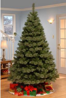 New Big 7 5 Fullerton Pine Cashmere Tips Artificial Unlit Christmas 