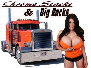 Trucker Shirt Big Rig Diesel Semi Pinup Girl Truck Driving T Shirt 