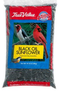 True Value 10 lb Black Oil Sunflower Bird Seed Bag 50059