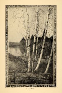   saugus river birch tree landscape g m astle original historic image