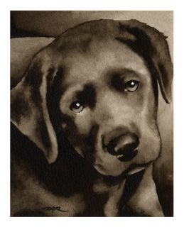 Black Lab Puppy Watercolor Dog Art 13 x 17 Signed DJR
