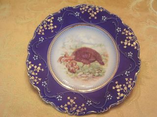 RARE 1890s Wheeling La Belle Flow Blue China Turkey Plate 10 