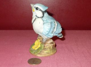 Blue Jay Figurine Andrea by Sadek Porcelain 6350