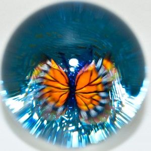 marble jesse taj butterfly murrine
