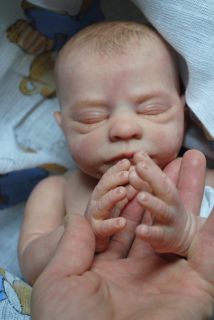 lovely little BRAD Reborn Baby Boy, Kit °Brayden° by Nicole Russell 