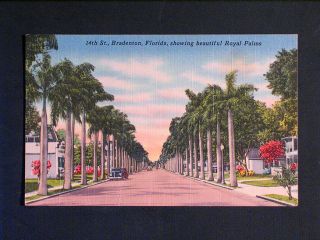 14th Street in Bradenton FL c1950 Old Vintage Postcard
