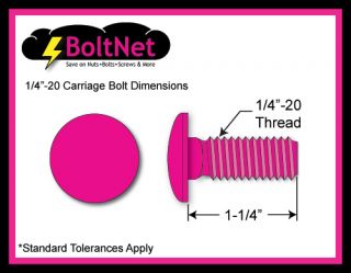 Boltnet Stainless Steel Carriage Bolt Kit 1 4 20 x 1 1 4 with Nuts 