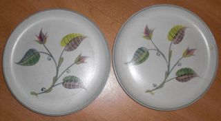 All plates are in the great Spring design. 4 are 8.25 wide and 2 are 
