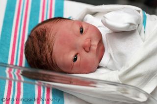 Reborn Julie Molloy Adam/Addison mix newborn baby. Brenden Scott