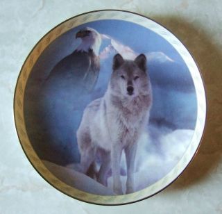 United in Spirit Wolf Eagle Bradford Exchange Collector Plate Tamoms 