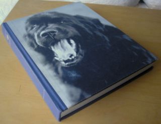 Gentle Giants A Book of Newfoundlands by Bruce Weber 0821221663