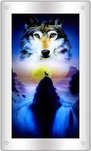 Moving Picture in Motion,Mirror Framed ,Waterfall Wolf Picture With 
