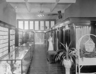 early 1900s photo Wells Corset Shop, Washington, D.C., interior 