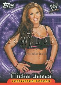 2006 WWE Diva Subset of 11 Cards Topps Insider Series