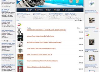   Branded Watches Internet Marketing Website Business for Sale