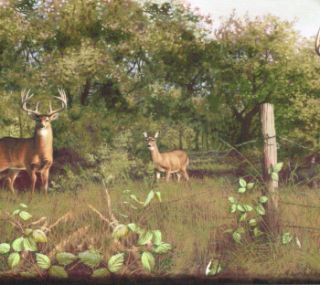 Most Beautiful Deer 2 Bucks A Doe Country 10 1 4  Wide Wallpaper 