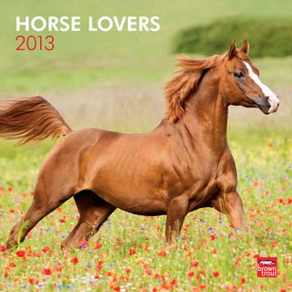 Horse Lovers 2013 Wall Calendar