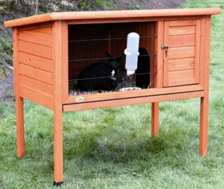    Story Small Animal Enclosure Hutch for Guinea Pig Bunny Rabbit Cage