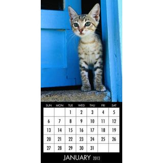 Kittens 2013 Mini Magnetic Mount Wall Calendar