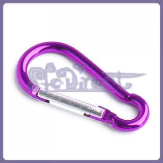 Lot of 6 D Shaped Carabiners Snap Hook Keychain Nice