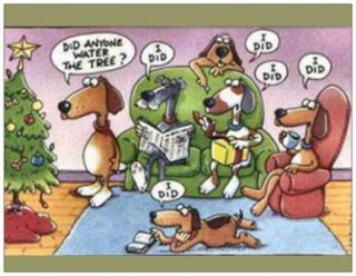 20 CHRISTMAS Dog DOGS Water TREE HUMOROUS Greeting Post Cards