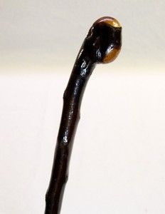    Irish Blackthorn Shillelagh Cane Walking Stick Wonderful Burl Handle
