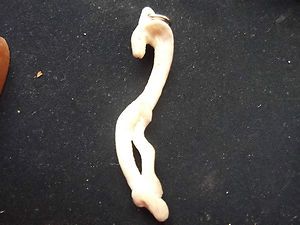 HAND CARVED FAUX IVORY BONE PENDANT COBRA WITH SILVER HOOP ATTACHED NO 