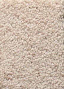 New Area Rug Plush Neutral Beige Carpet w Binding Cameo