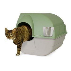    Box Green Beige Cat NEW Brand Cats Tidy Breeze Kitty Cat Boxes Beige