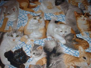 DK Realistic Cats Kittens Fabric Cats Meow FQs Free s H