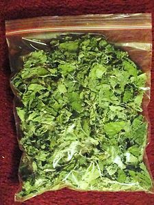 Dried Catnip whole leaf approx 2 oz dry weight approx 12 13 cups fresh 