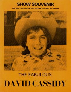 David Cassidy 1973 Rock Me Baby Tour Spring U K Concert Program Book 