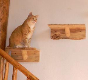 Wooden Cat Shelves Steps Shelf Platform Perch