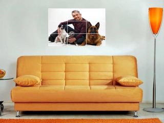 Cesar Millan 35x25 Mosaic Wall Poster Dog Whisperer