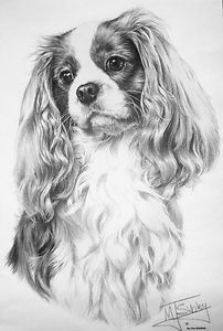 Custom Cavalier King Charles Spaniel Pen Ink Design Dog Breed T Shirt 