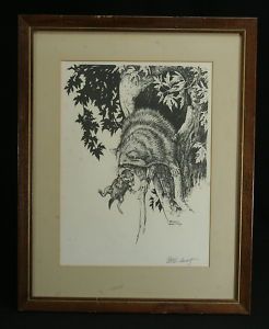 Charles w Schwartz Print Signed Matted Framed Raccoons