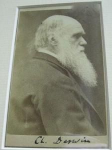 RARE Original Signed 1871 Charles Darwin Portrait Carte de Visite 