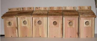   auction description 6 cedar wood bluebird bird house with cedar