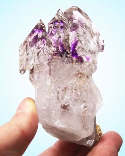 New Find 5 75 Phantom Amethyst Scepter Crystals India