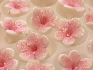 CHERRY BLOSSOMS / 24 Gum Paste Flowers Edible Cake Topper & Cupcake 
