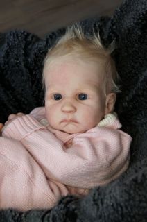 Reborn Baby Doll Cheyenne by Angela Harris New Allergy Free Silk Hair 